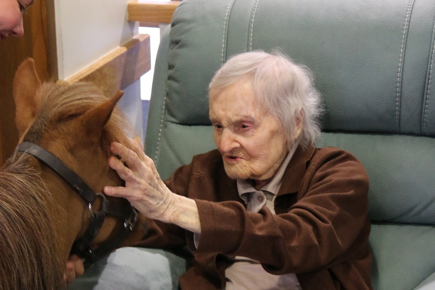 Nursing home resident pats the therapy horse