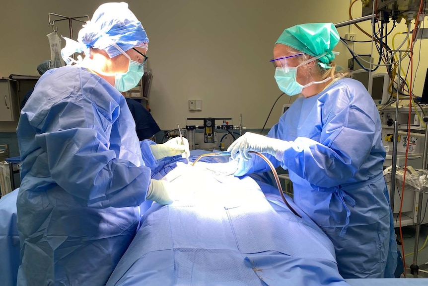 Two females performing a medical procedure.