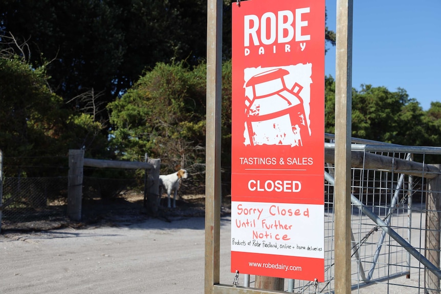 A red sign on a gate with the words "Robe Dairy tastings & sales closed, sorry closed until further notice"