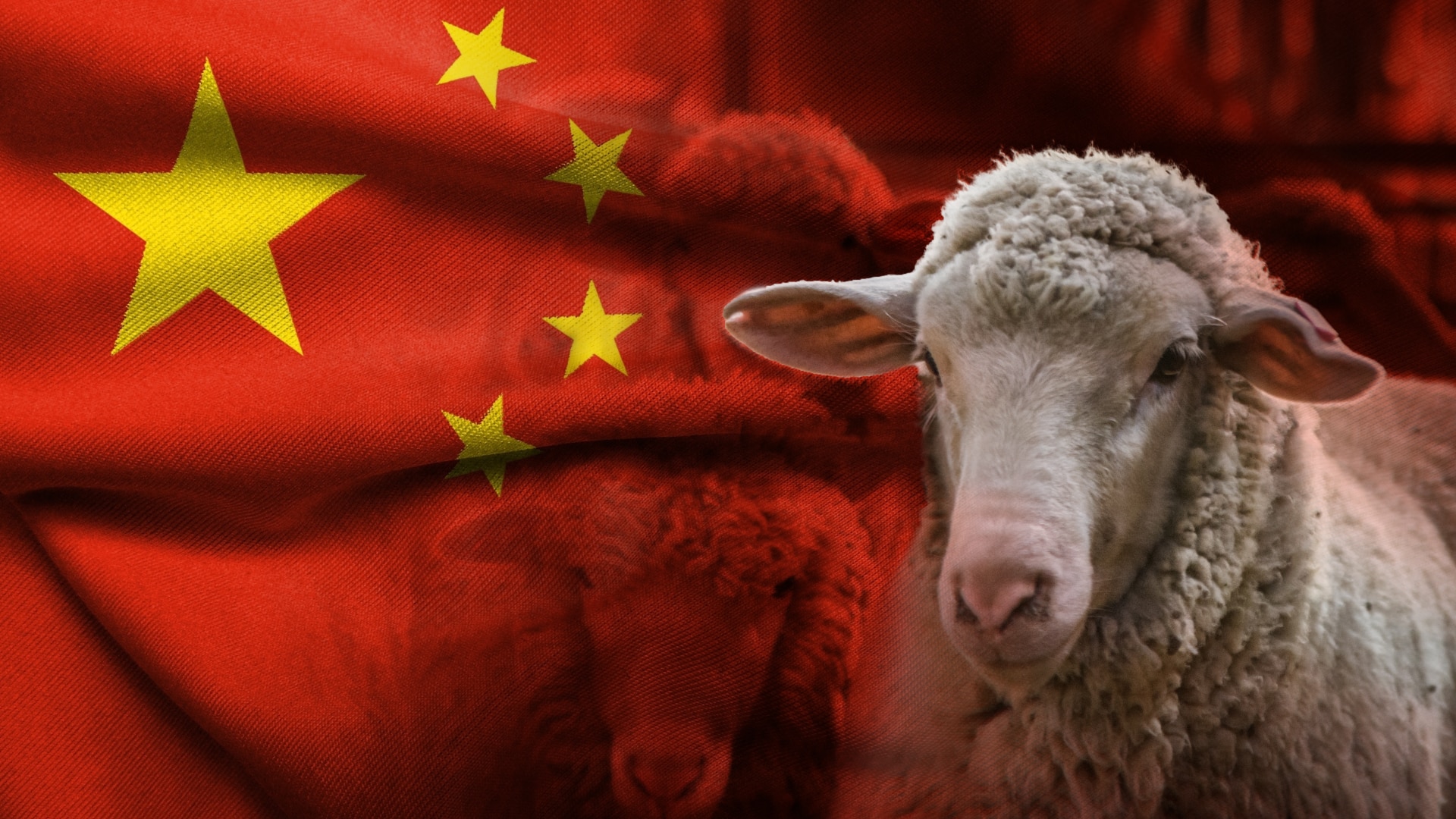 Wool price jumps ahead of industry-first Chinese New Year break