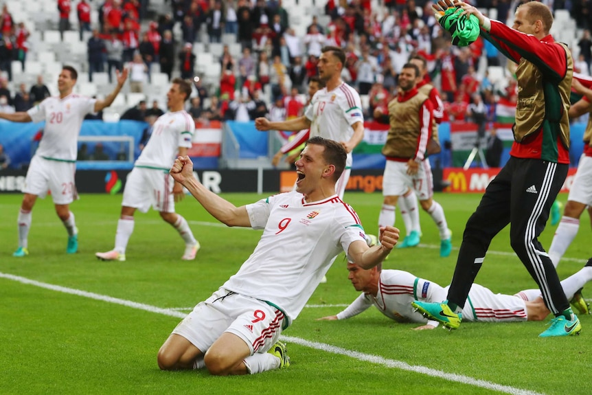 Adam Szalai celebrates with team-mates after Hungary win over Austria