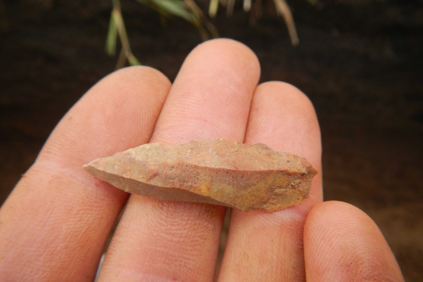 Aboriginal artefacts found at Tarro