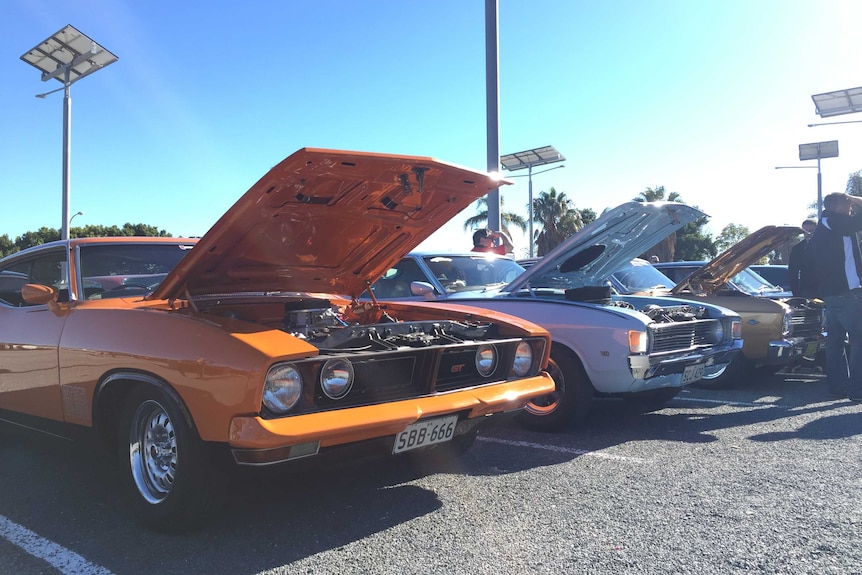 Classic cars lined up with their hoods open