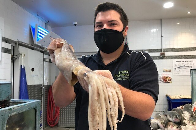 Sydney Fish Market tour guide Alex Stollznow with a Gould's Squid at Sydney Fish Market