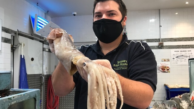 Sydney Fish Market tour guide Alex Stollznow with a Gould's Squid at Sydney Fish Market