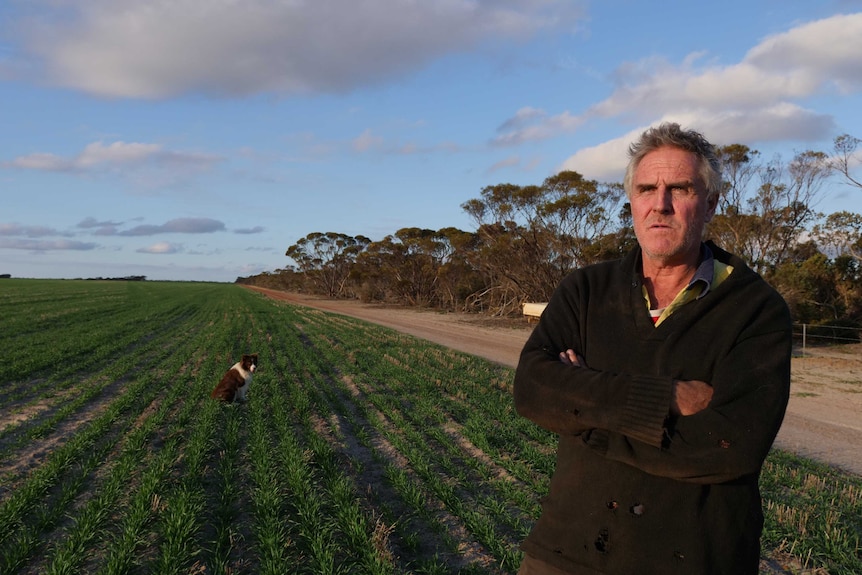 A man stand with his arms crossed in front of his crop, which has small plants germinating.