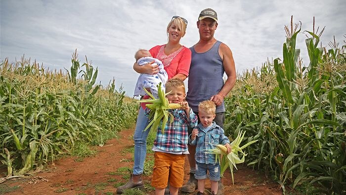 Karl Britt, his fiance Laiken Teague and their three boys are surrounded by corn.