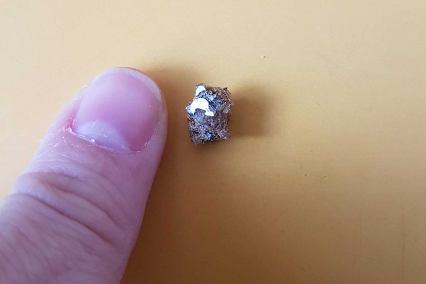 A piece of metal found in dog food next to a person's thumb
