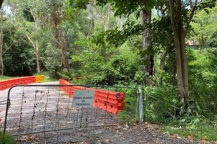 This Mt Kembla site is due to be cleared for a proposed carpark, but its not clear how koala habitat will be protected