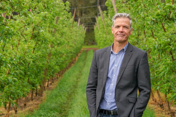 Man stands among fruit trees