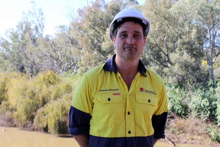A man in a yellow shirt and hard hat stands by the Macquarie River at Trangie.