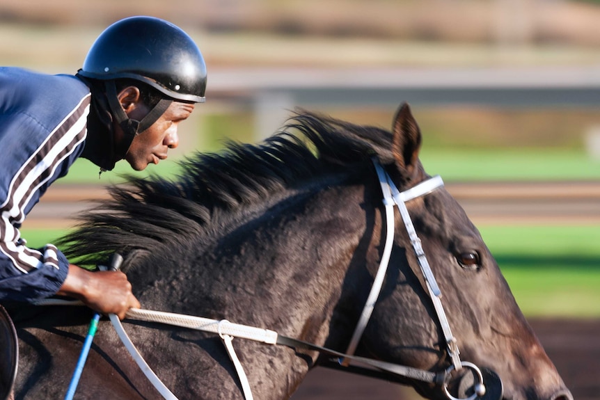 A profile image of a jockey and a horse mid-race.