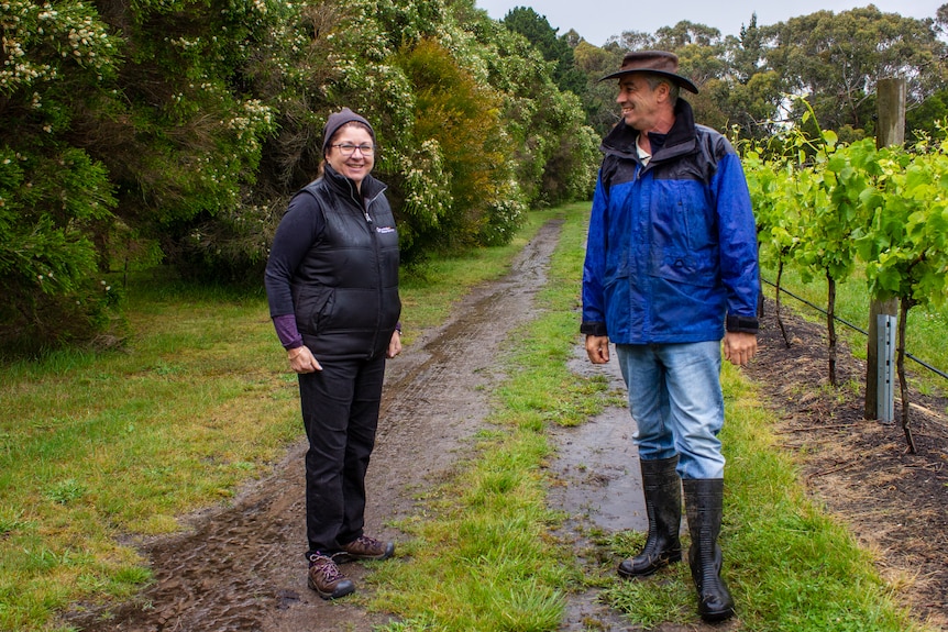 A woman and a man stand on dirt wheel tracks next to a row of vines