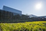 A shot of grass growing on the roof of the new centre.