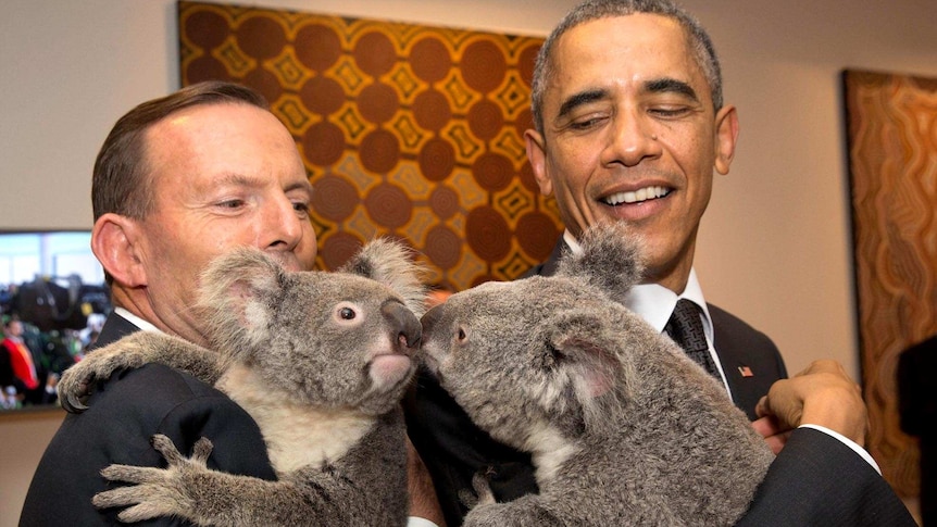 Leaders meet koalas