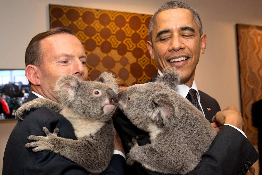 Leaders meet koalas