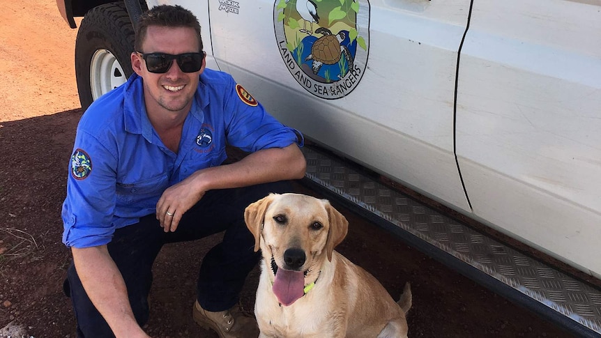 A photo of Tom Lawton and a white labrador crouching beside a ute.