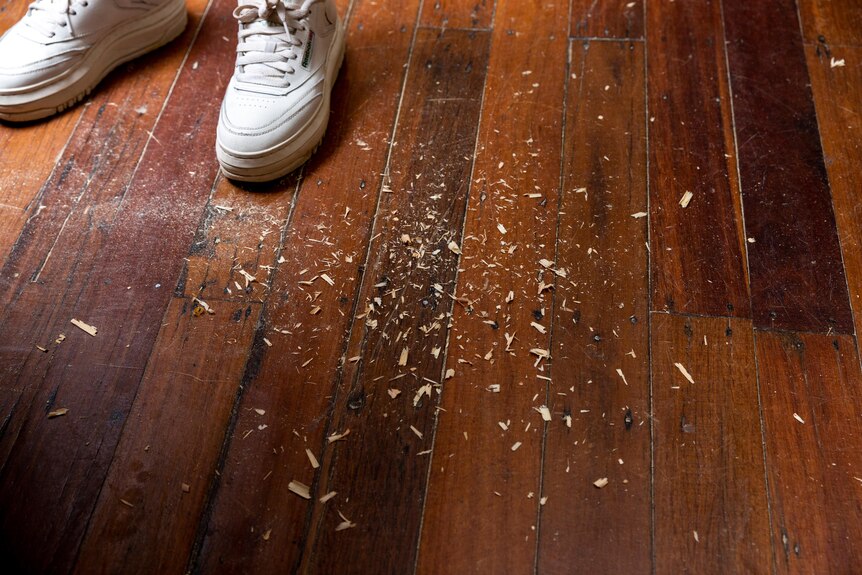 sawdust and shoes on a wooden floor