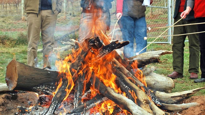 Fireside Festival - people around a bonfire, roasting marshmallows