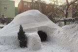 Patrick Horton says the igloo is still standing in his Brooklyn backyard after the blizzard.