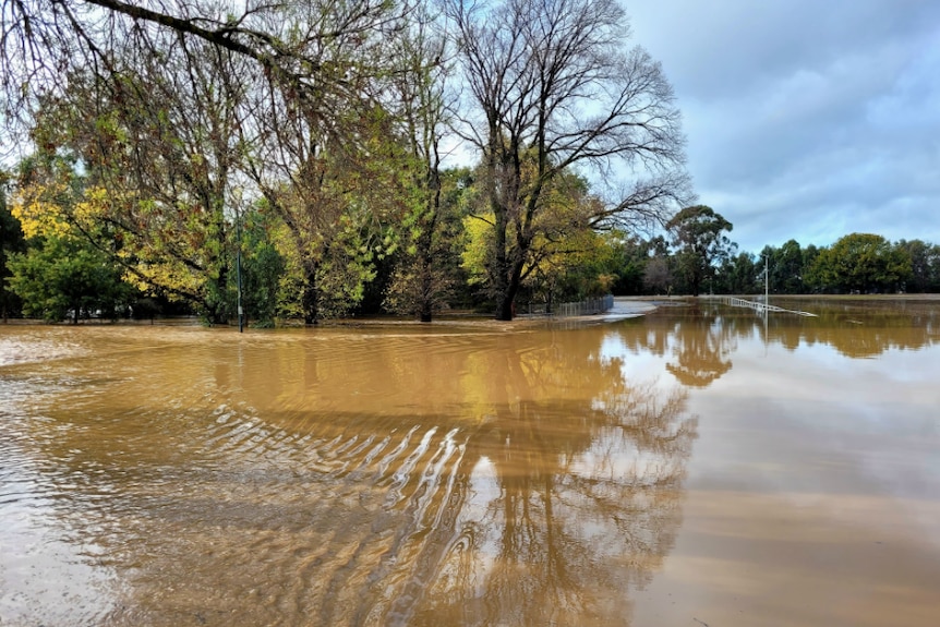 Traralgon Creek floods roads, parks.