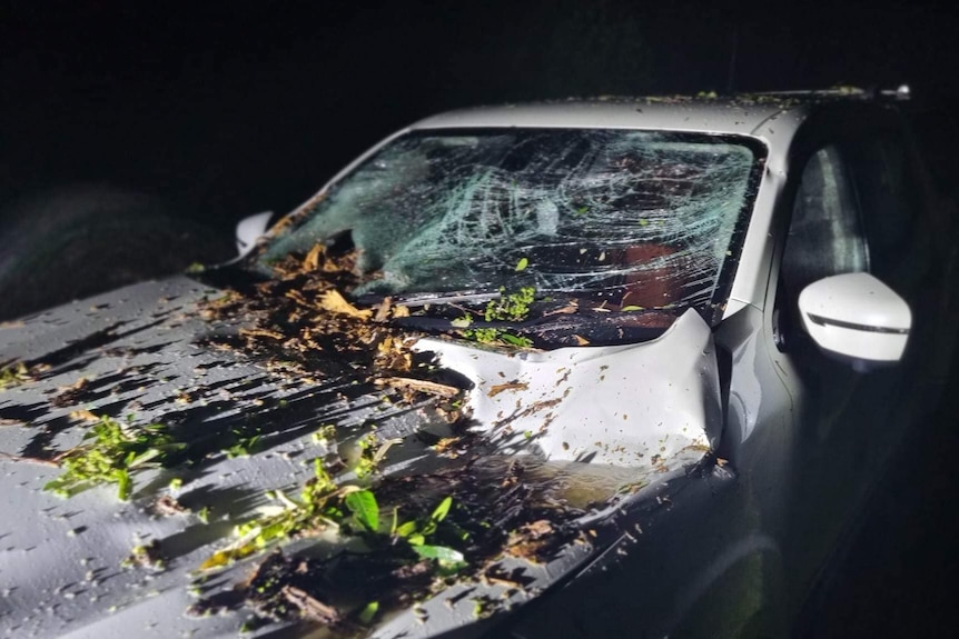 A white car with its windscreen smashed and the bonnet damaged by a fallen tree.