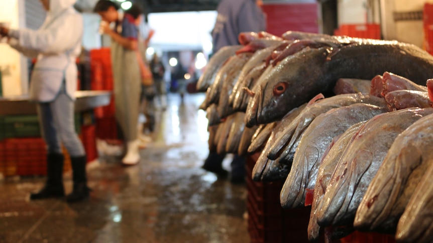 A fish market