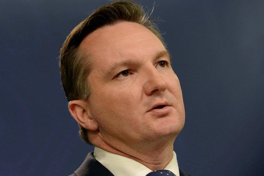 Chris Bowen speaks to media in Sydney