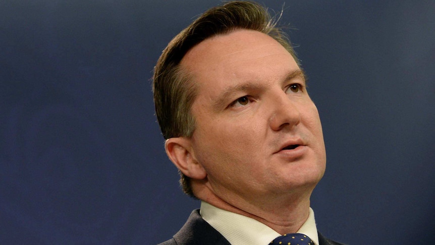 Chris Bowen reacts to rates cut