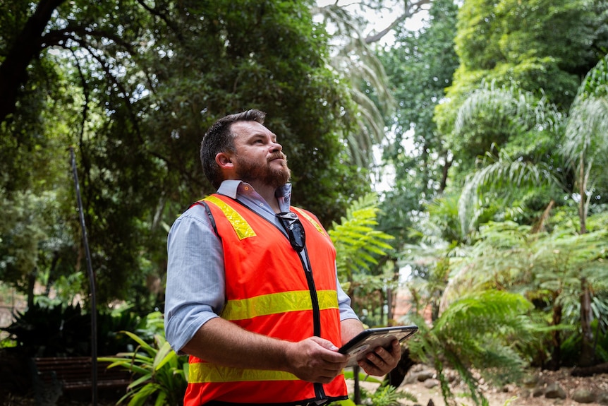 a man standing with an ipad looking up at rainforest trees