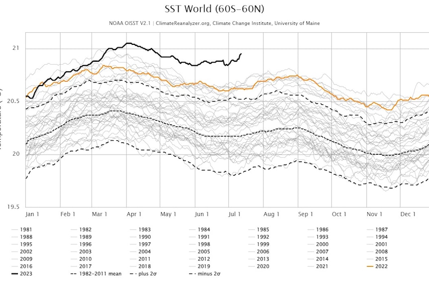 A chart showing the record global SSTs