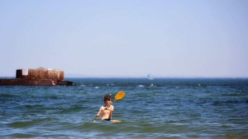 Boy kayaking a beach in Melbourne