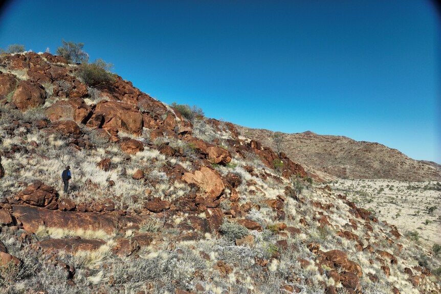 A man is dwarfed by the red rocky outcrop he stands on. The pure blue sky sweeps into the top right hand of the photo.