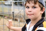 Primary school-aged boy standing beside a fence looking intently at camera