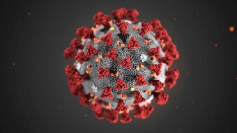 Coronavirus illustration.