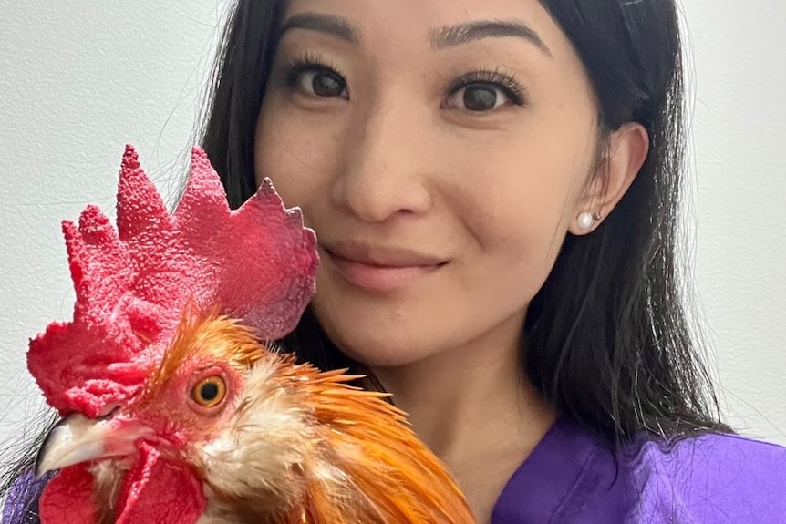 A woman holds a rooster, both posing for the camera. 