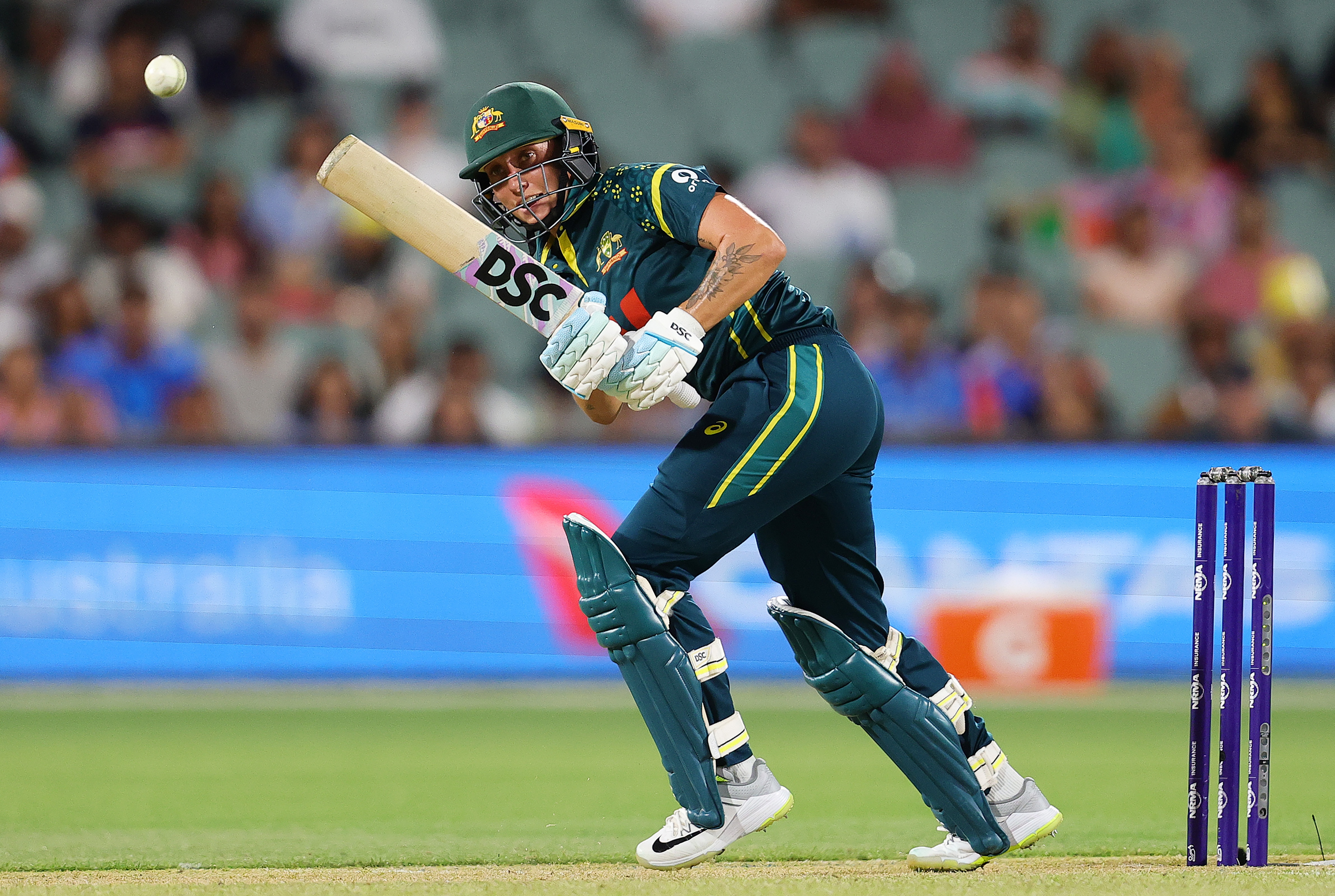 'A lot of confidence' for Ash Gardner ahead of T20 Cup