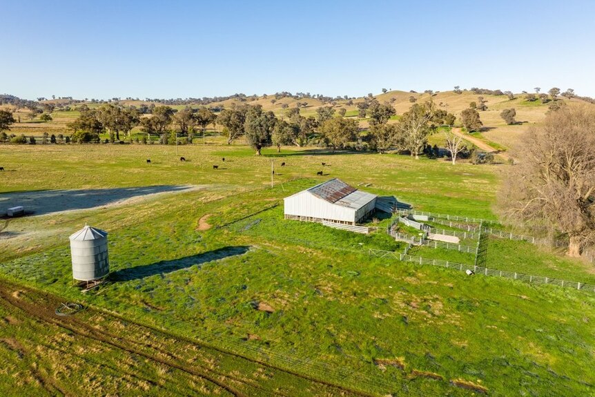 A shearing shed and a silo in a paddock with green grass