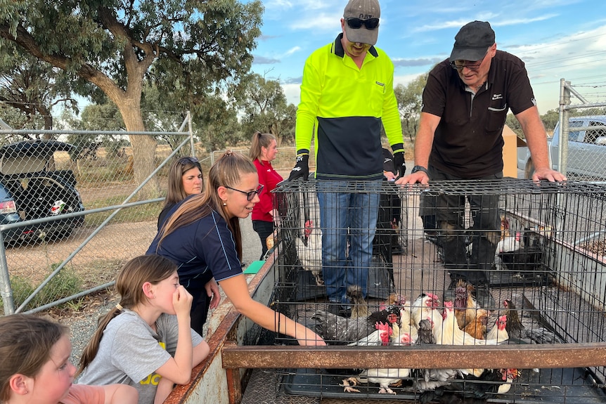 A woman picks the chickens she'd like to take home 