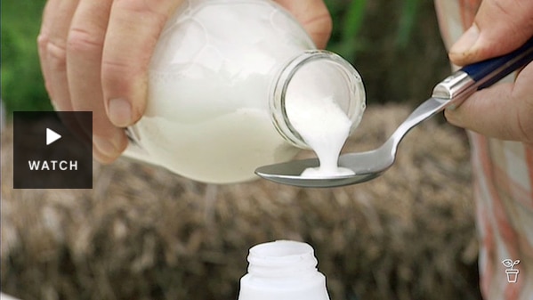 White liquid being poured iinto a spoon. Has Video.