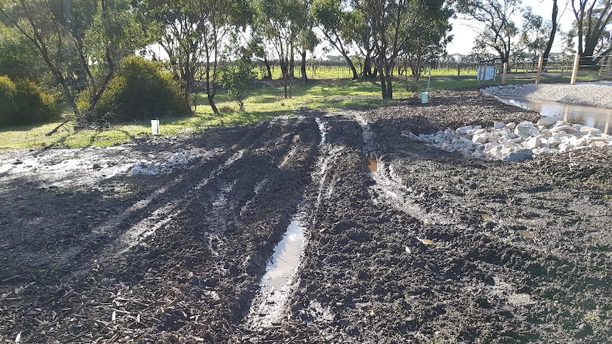 Tyre tracks tear up new works in Onkaparinga River National Park.