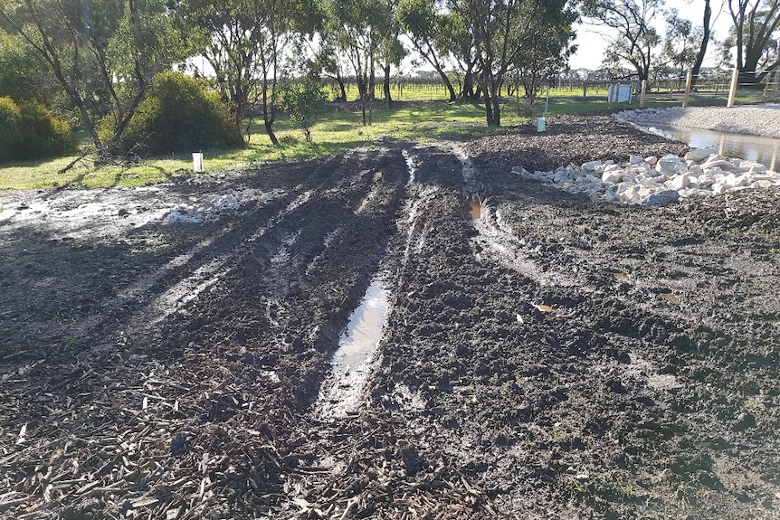 Tyre tracks tear up new works in Onkaparinga River National Park.