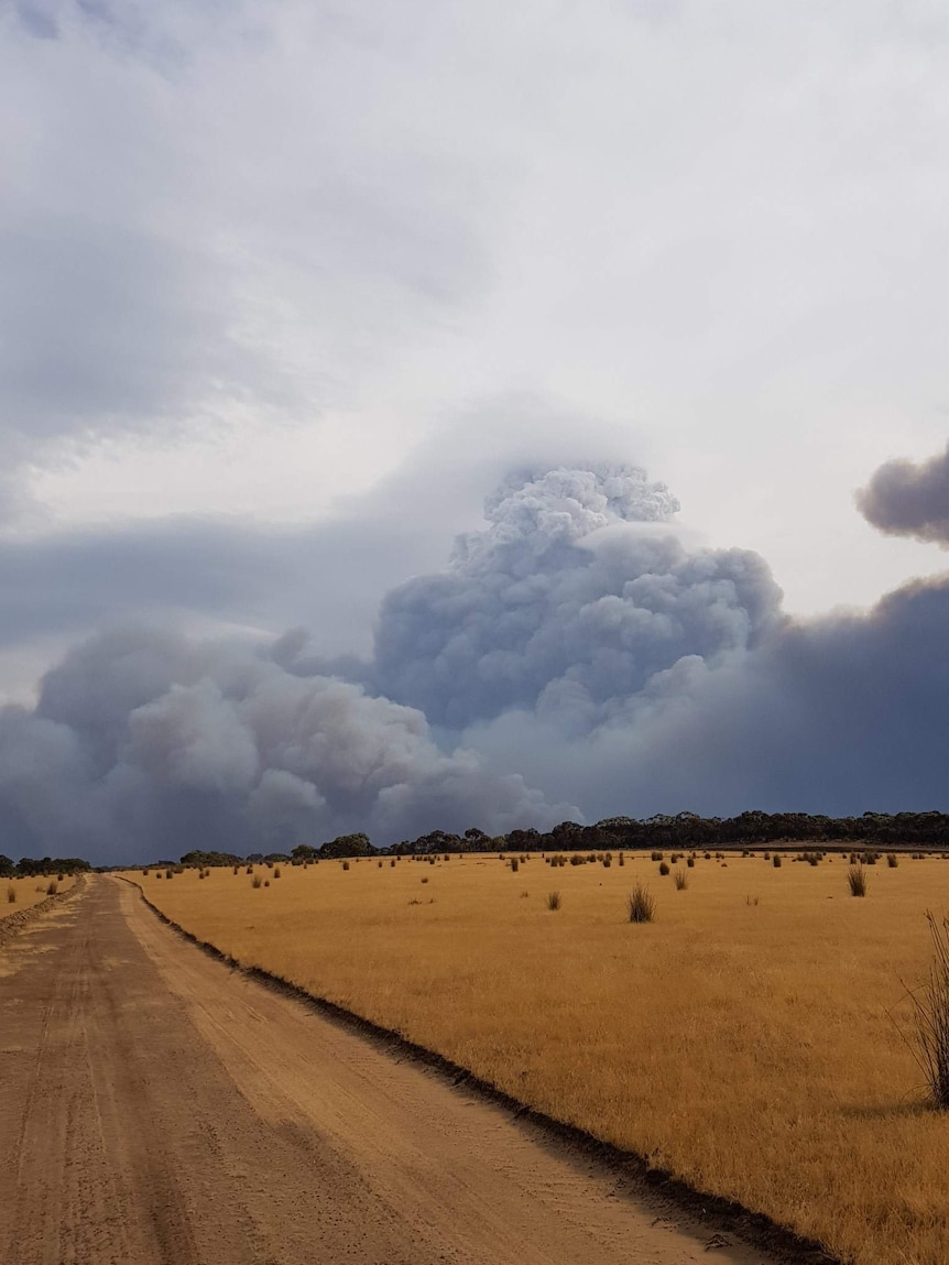 A dark sky shows a large bushfire plume over yellow scrub, while a dirt road stretches out toward the horizon.