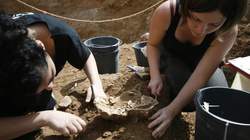 Archaeologists unearthing human remains in Israel