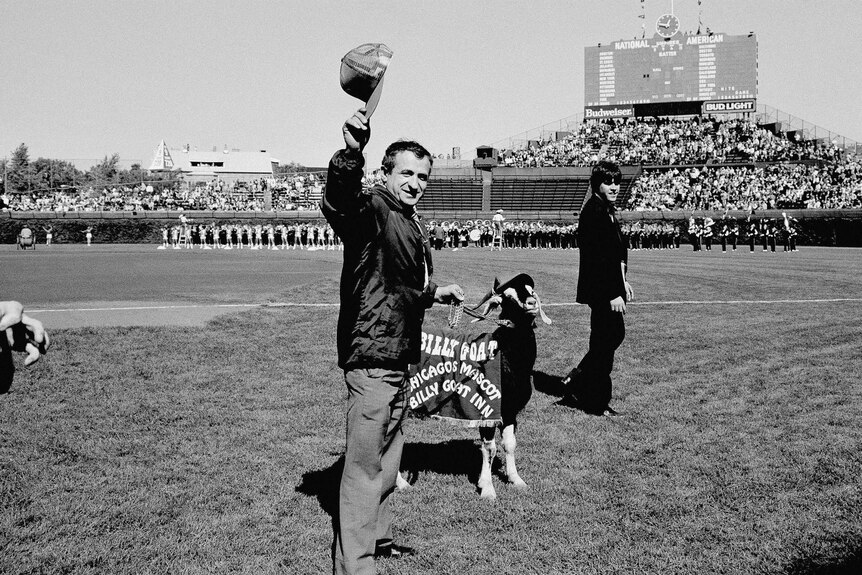 A black and white image of Sam Sianis acknowledging the crowd along with his goat before a playoff game at Wrigley Field