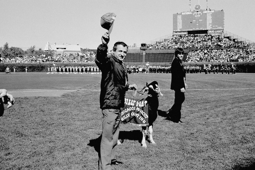 A black and white image of Sam Sianis acknowledging the crowd along with his goat before a playoff game at Wrigley Field