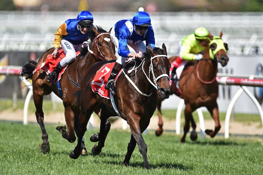 Winx wins the Caulfield Stakes