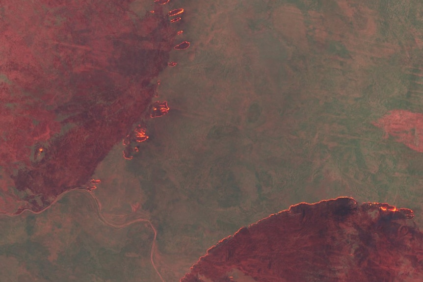 A satellite image of two fires converging in the Tanami Desert
