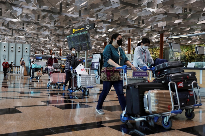 People pushing trolleys stacked with their luggages at the airport