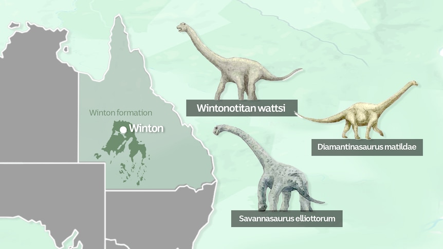 A map of Queensland and a green patch around Winton with three long neck dinosaurs off to the side.